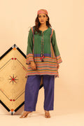 Emerald Stripe Banarasi Co-ord Set - Lamhe